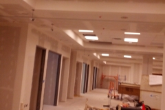 nexus pics 1041