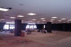nexus pics 1117