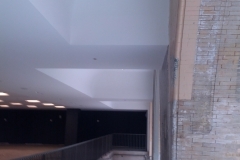 nexus pics 1124